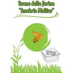 Dose Tarme Della Farina 100gr (Tenebrio Molitor) + Tarma Mix